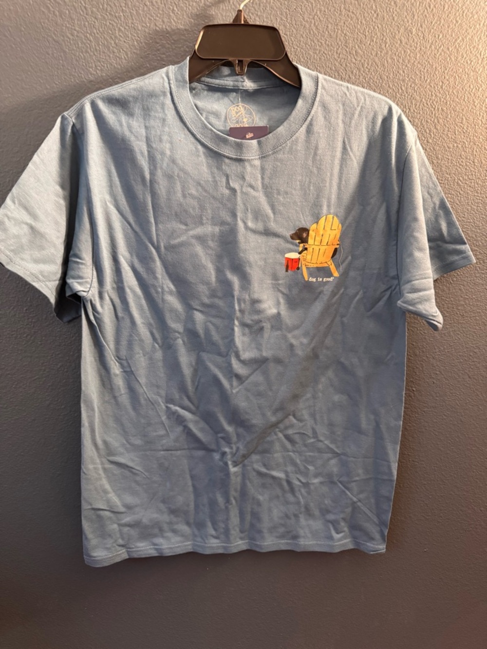 Light Blue Short Sleeve Graphic Tee with Adirondack Chair Design